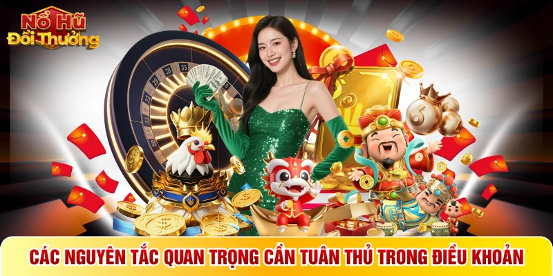Các nguyên tắc quan trọng cần tuân thủ trong điều khoản