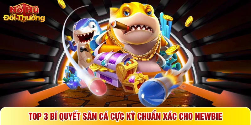 TOP 3 bí quyết săn cá cực kỳ chuẩn xác cho newbie
